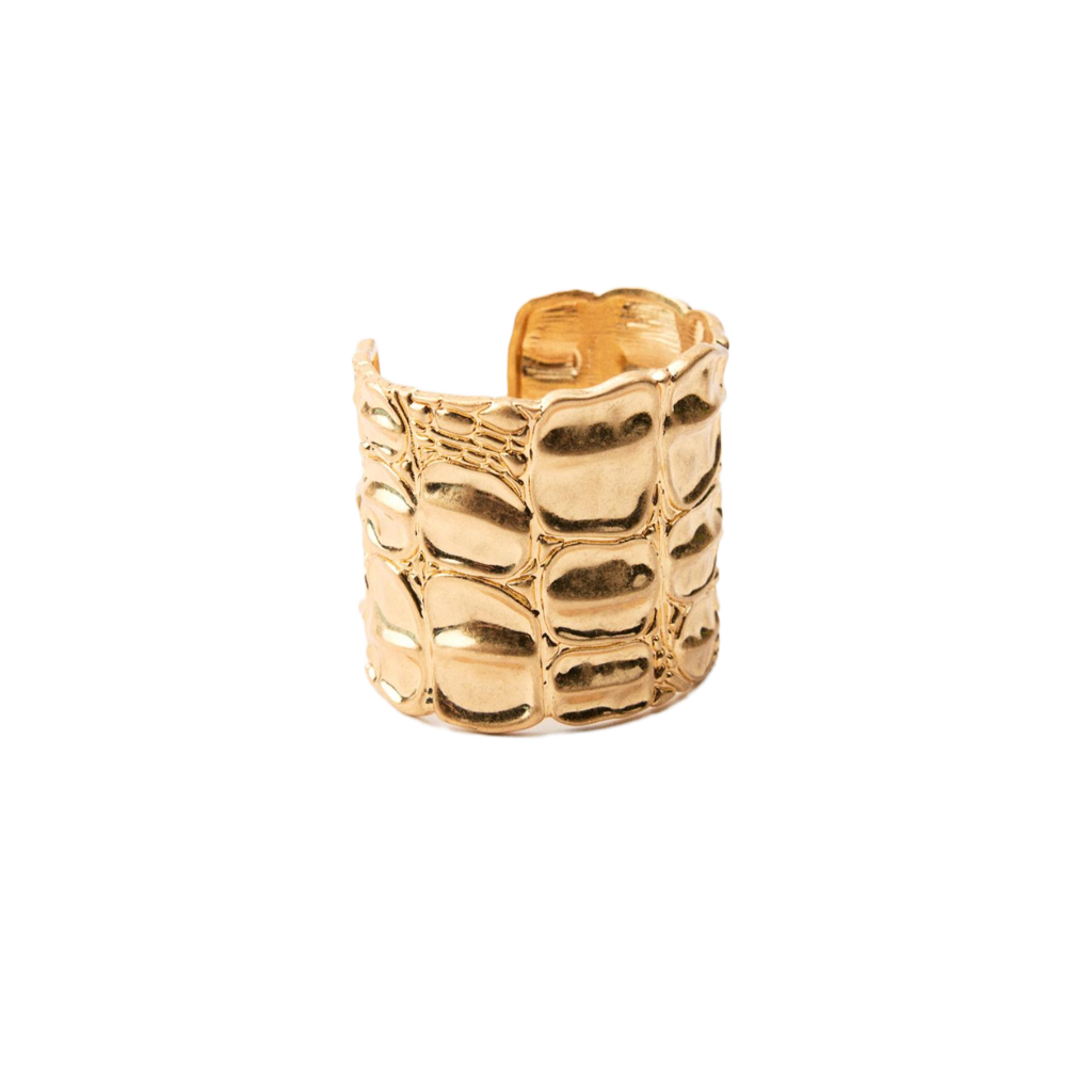 Croc Shine Kelepçe - Aven & Laurel