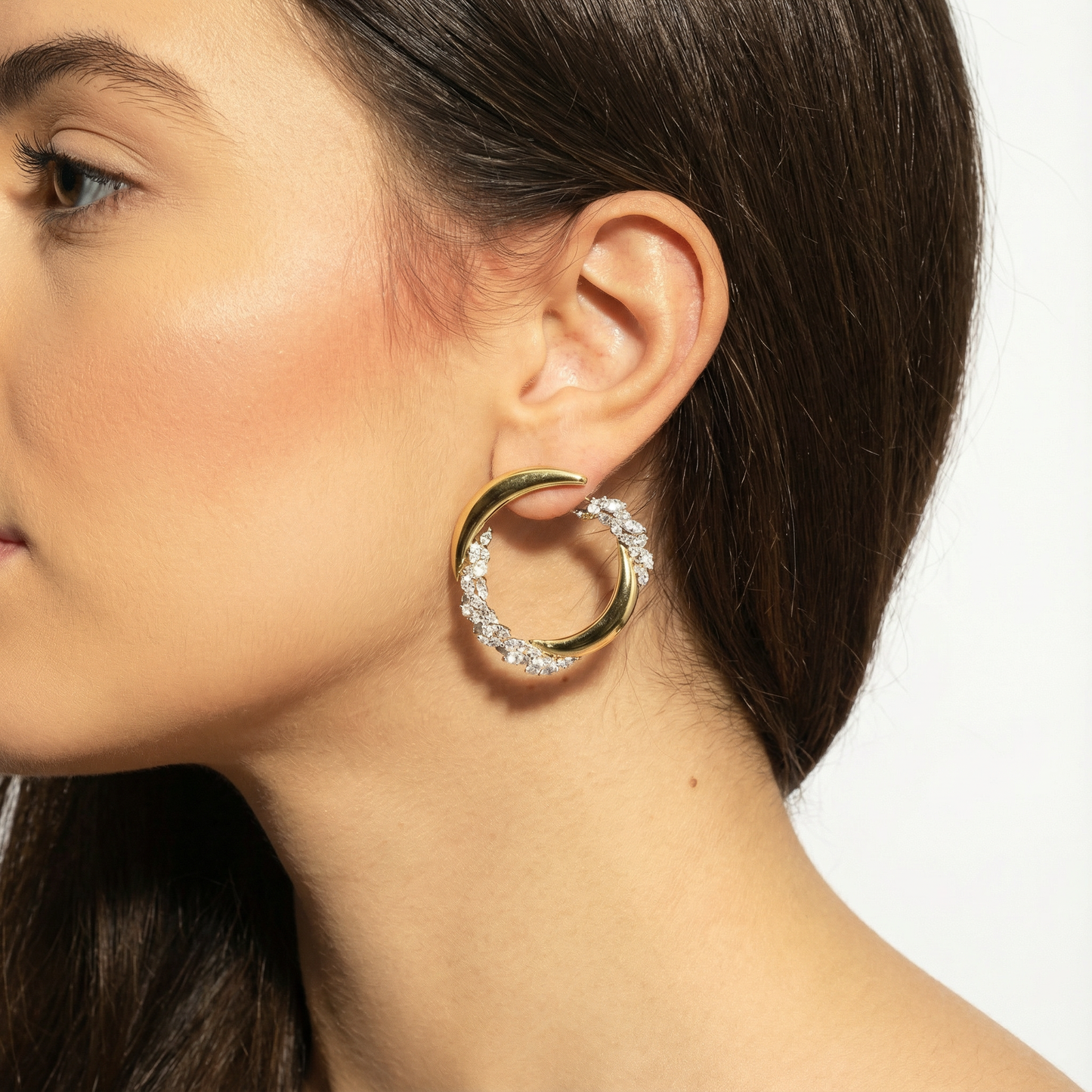 Imperial Lion Aegis Earrings