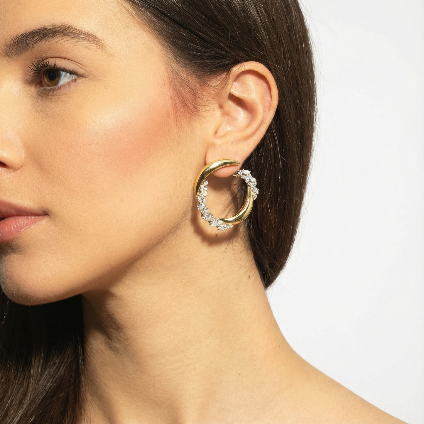 Imperial Lion Aegis Earrings