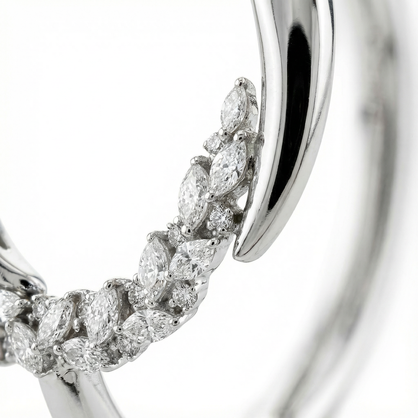 Imperial Lion Aegis Earrings