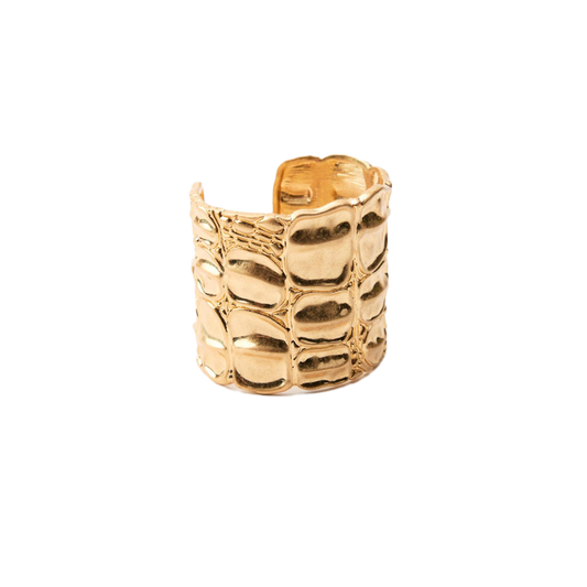 Croc Shine Kelepçe - Aven & Laurel