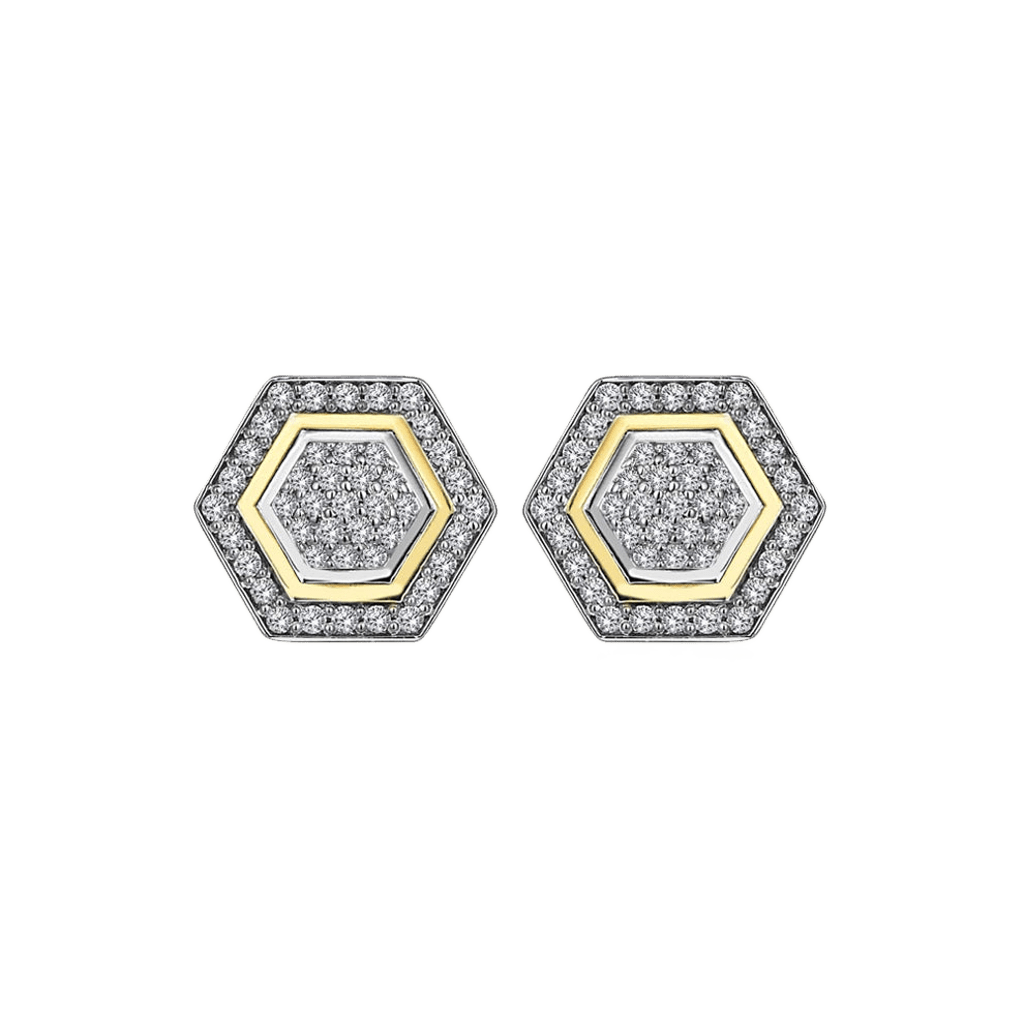 Hexagon Radiance Küpe - Aven & Laurel
