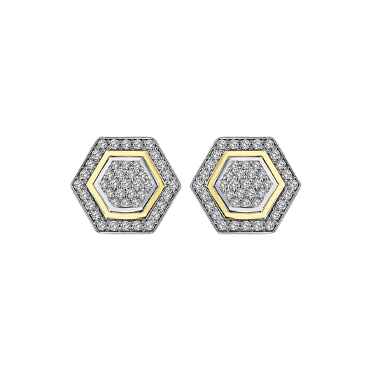 Hexagon Radiance Küpe - Aven & Laurel